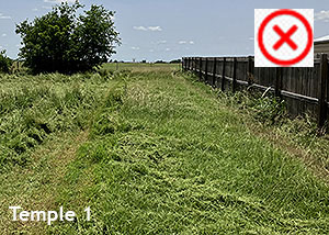 Bell County Lanscaping Templle TX