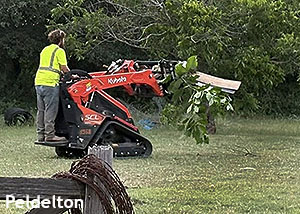 Bell County Lanscaping Peldelton TX